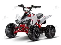 Imagen de la moto Access MiniSport 110 2021