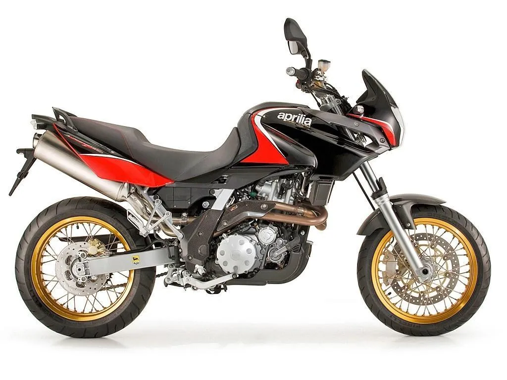 Zdjęcie motocykla Aprilia pegaso 650 Factory roku 2010