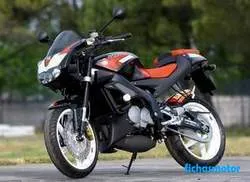 Obrázek motocyklu Aprilia tuono 125 2005