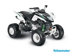 Afbeelding van de Arctic Cat 300 DVX 2010-motorfiets