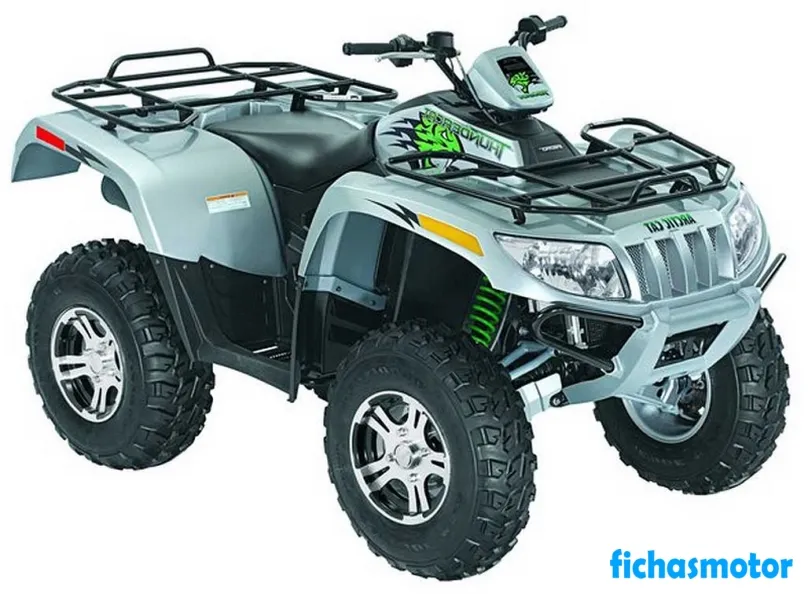 Afbeelding van de Arctic Cat Thundercat 1000 H2-motorfiets van het jaar 2009