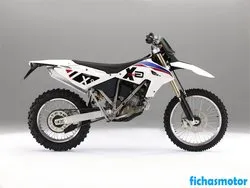 Bild des Motorrads BMW G 450 X 2011