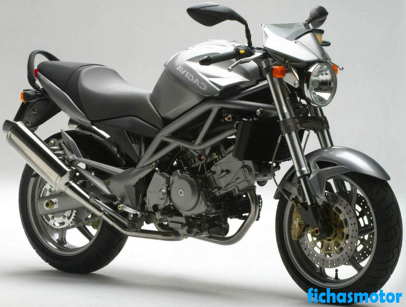 Imaginea motocicletei Cagiva raptor 650 a anului 2005