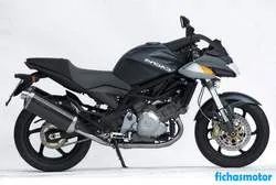 Afbeelding van de Cagiva v-raptor 1000 2002-motorfiets