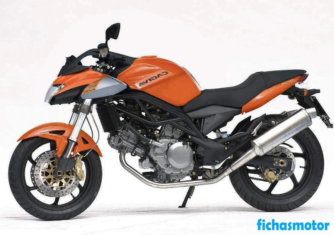 Imaginea motocicletei Cagiva v-raptor 650 a anului 2003