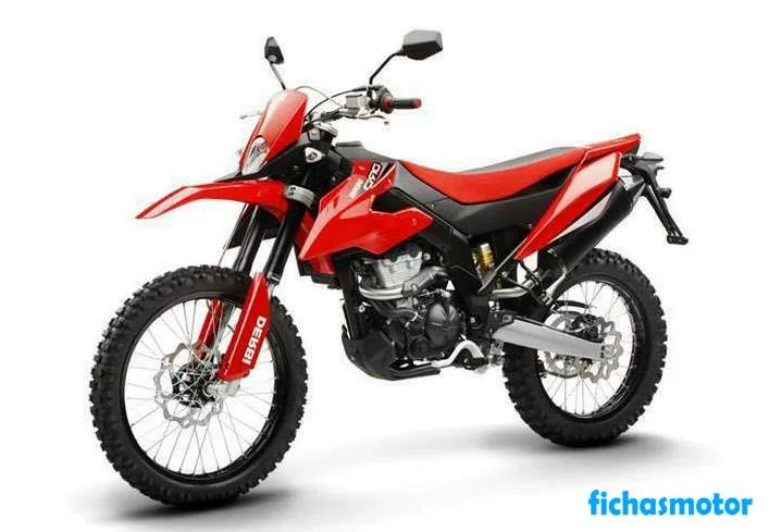 2009 年 Derbi terra 125 摩托车图片