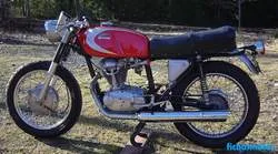 Imagen de la moto Ducati 250 diana 1966