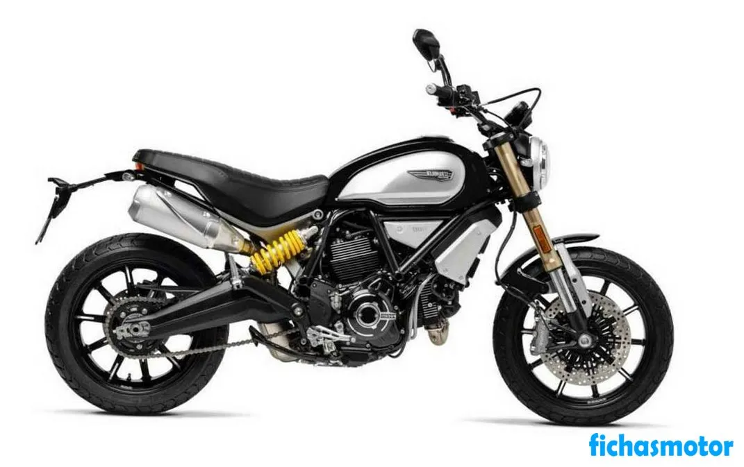 2019 年 Ducati Scrambler 1100 摩托车图片