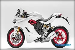 Image of the Ducati SuperSport S 2019 motorcycle