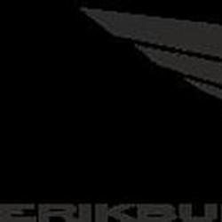 Logo de la marca erik-buell-racing