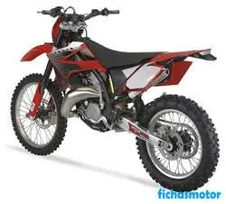 Imagen de la moto Gas gas ec 125 2008