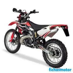 Bild des Motorrads Gas gas ec 250 2009