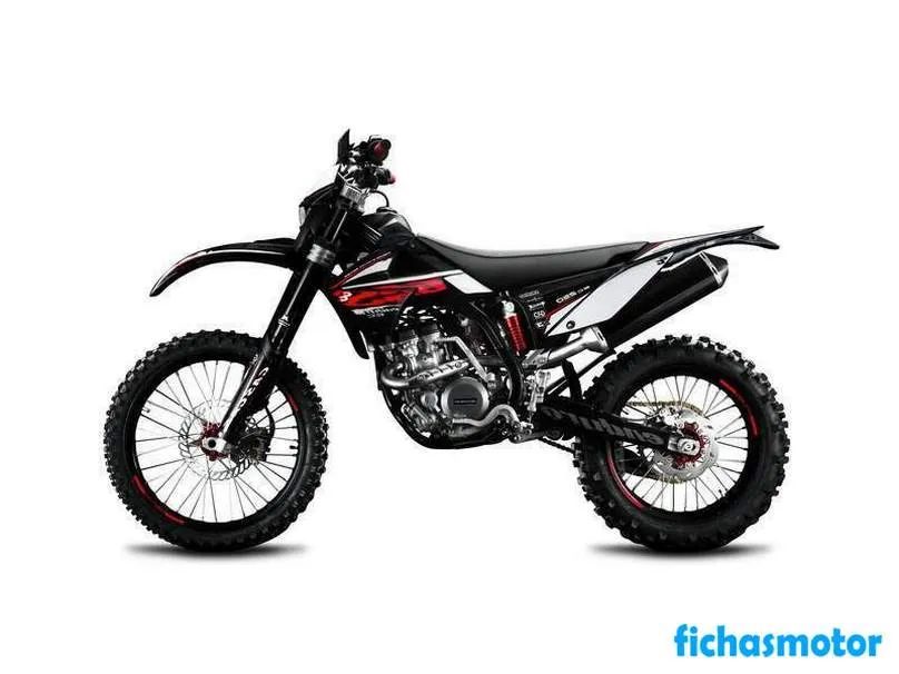 Imaginea motocicletei Gas gas ec 250 4t a anului 2010