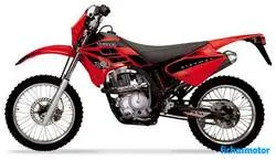 Gambar sepeda motor Gas gas pampera 125 2007