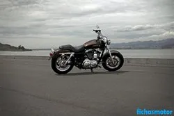 Afbeelding van de Harley Davidson 1200 Custom 110th Anniversary 2013-motorfiets