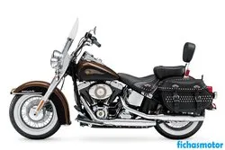 Image of the Harley davidson heritage Softail Classic 110th anniversary 2013 motorcycle