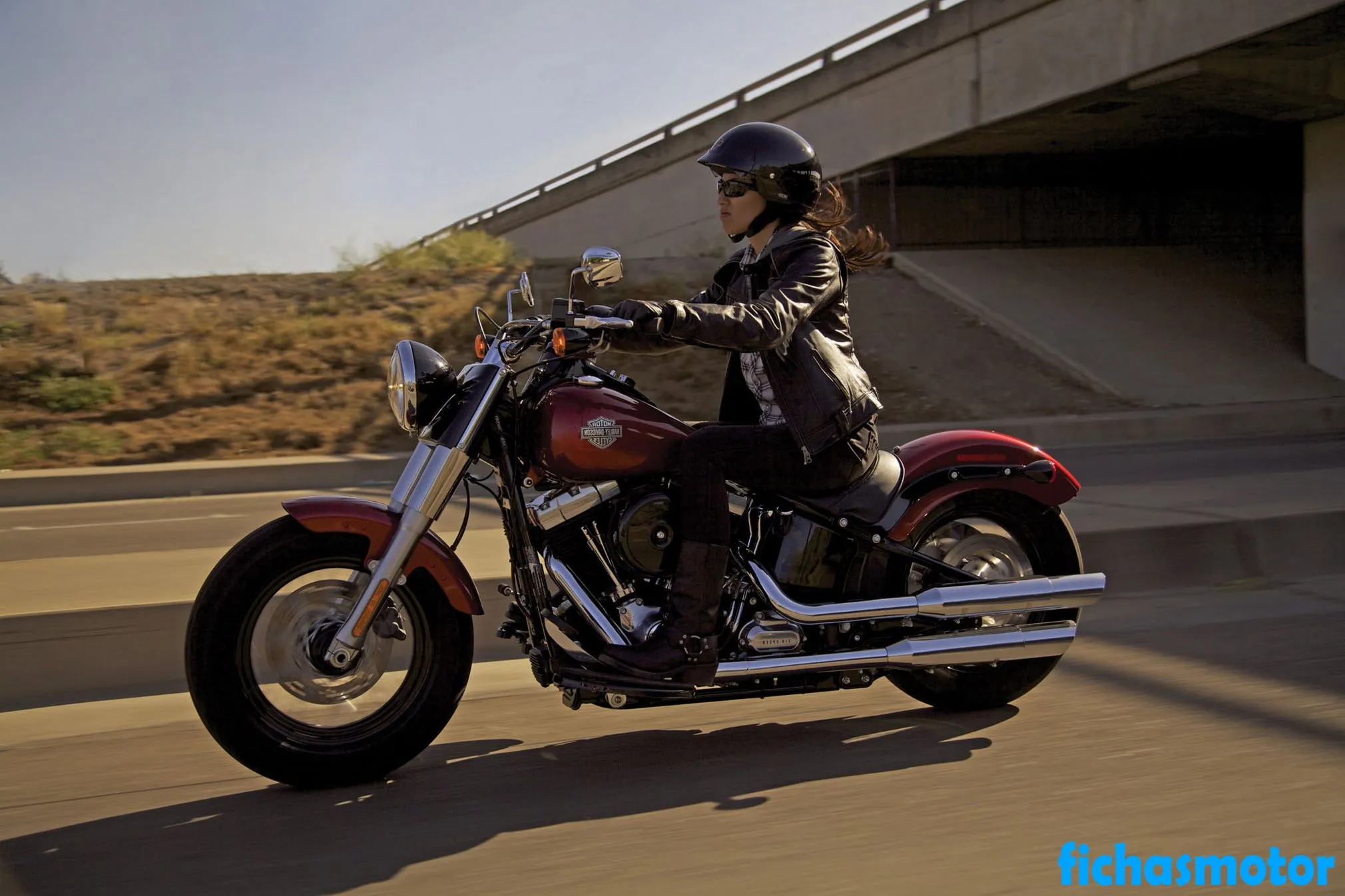 2013 model Harley davidson Softail slim motosikletin görüntüsü