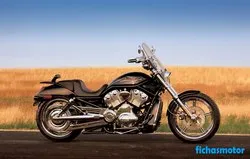 Harley davidson vrscb v-rod 2005 摩托车的图像