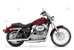 Image of the Harley davidson xlh sportster 883 Custom - xl 53 c sportster Custom 2000 motorcycle