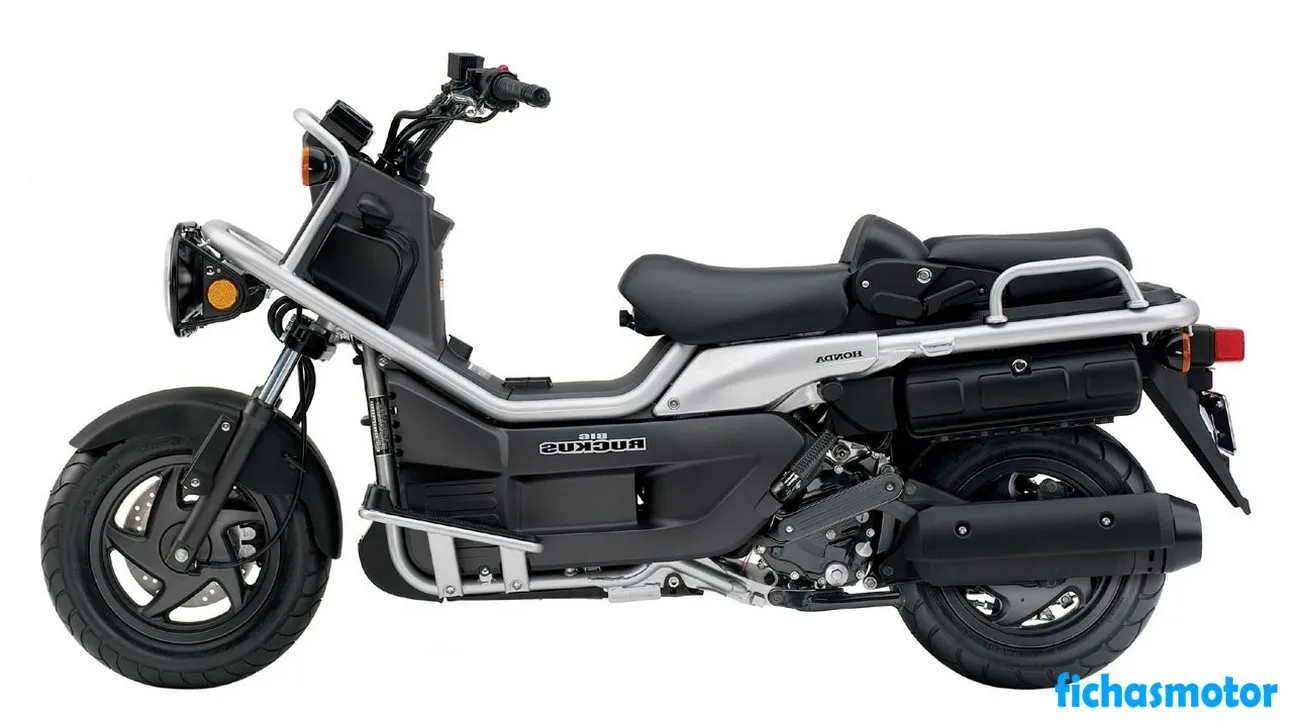 2006 model Honda big ruckus motosikletin görüntüsü