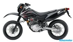 Image of the Honda crf230m 2009 motorcycle