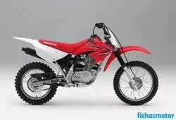 Afbeelding van de Honda crf80f 2011-motorfiets