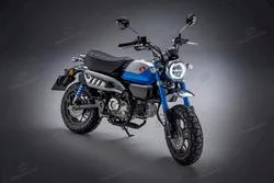 Honda Monkey 2021 motosiklet görüntüsü