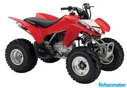 Zdjęcie motocykla Honda trx250x 2013