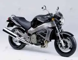 Image of the Honda x-eleven 2003 motorcycle