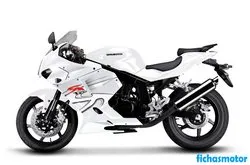 Image of the Hyosung gt250r 2012 motorcycle