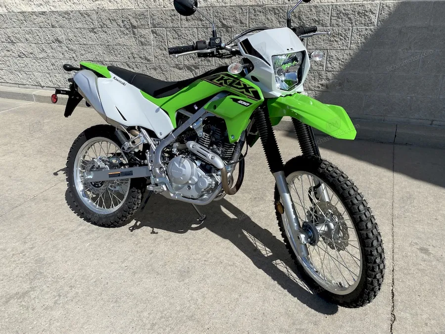 Immagine della moto Kawasaki KLX230 dell'anno 2021