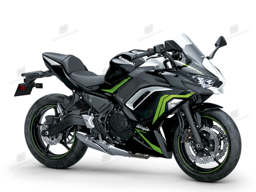 Bild des Kawasaki Ninja 650-Motorrads des Jahres 2021