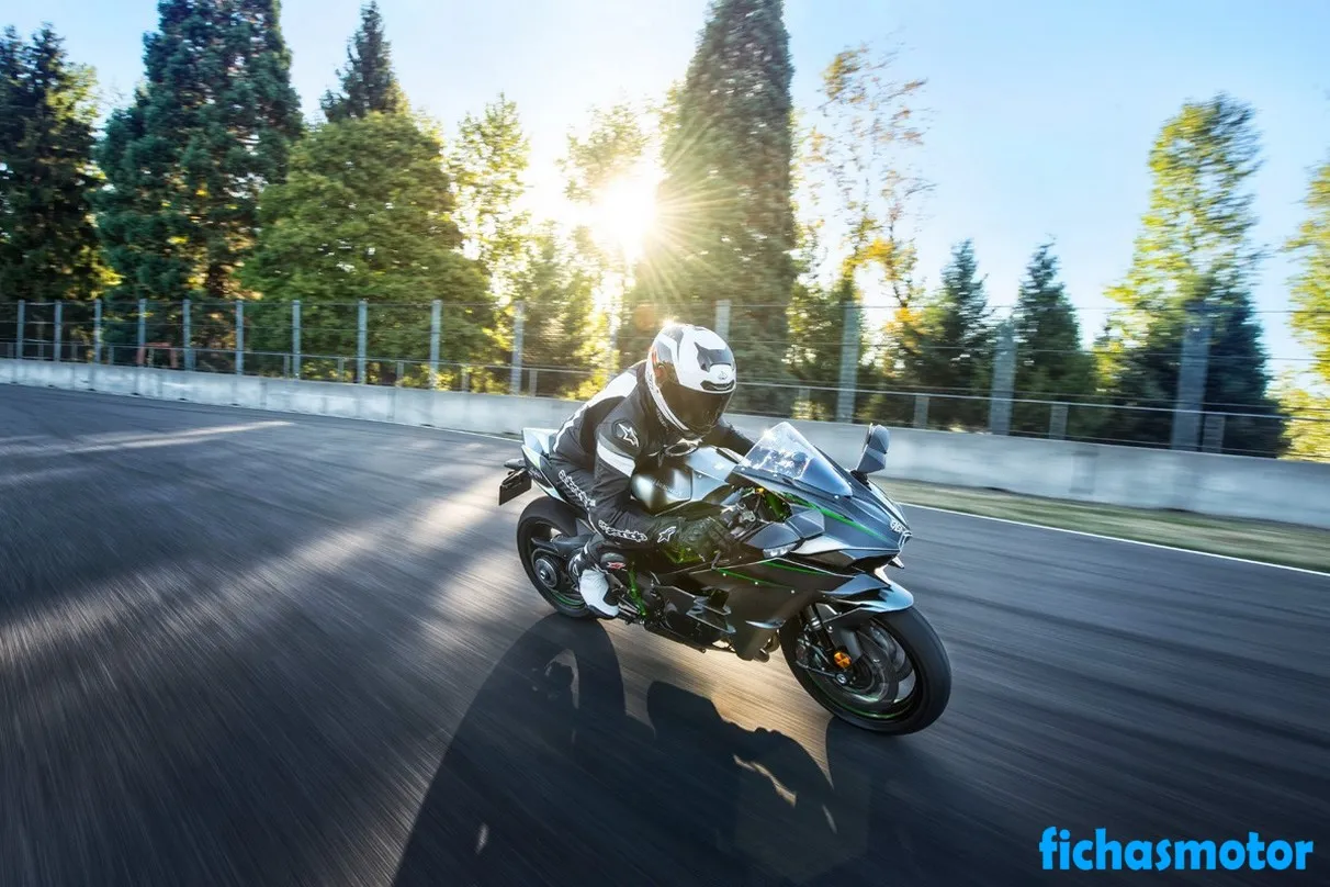 Afbeelding van de Kawasaki Ninja H2 Carbon-motorfiets van het jaar 2019