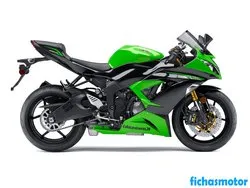 Afbeelding van de Kawasaki ninja zx -6r 2013-motorfiets