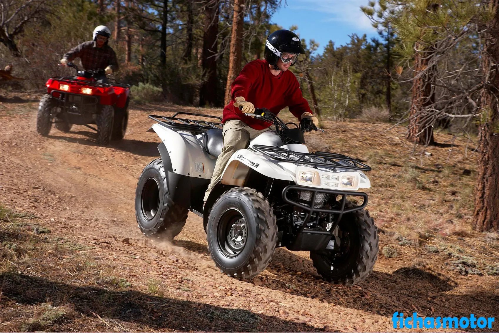 2009年のKawasaki Prairie 360 4x4オートバイのイメージ