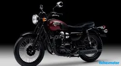 Afbeelding van de Kawasaki w800 Special Edition 2017-motorfiets