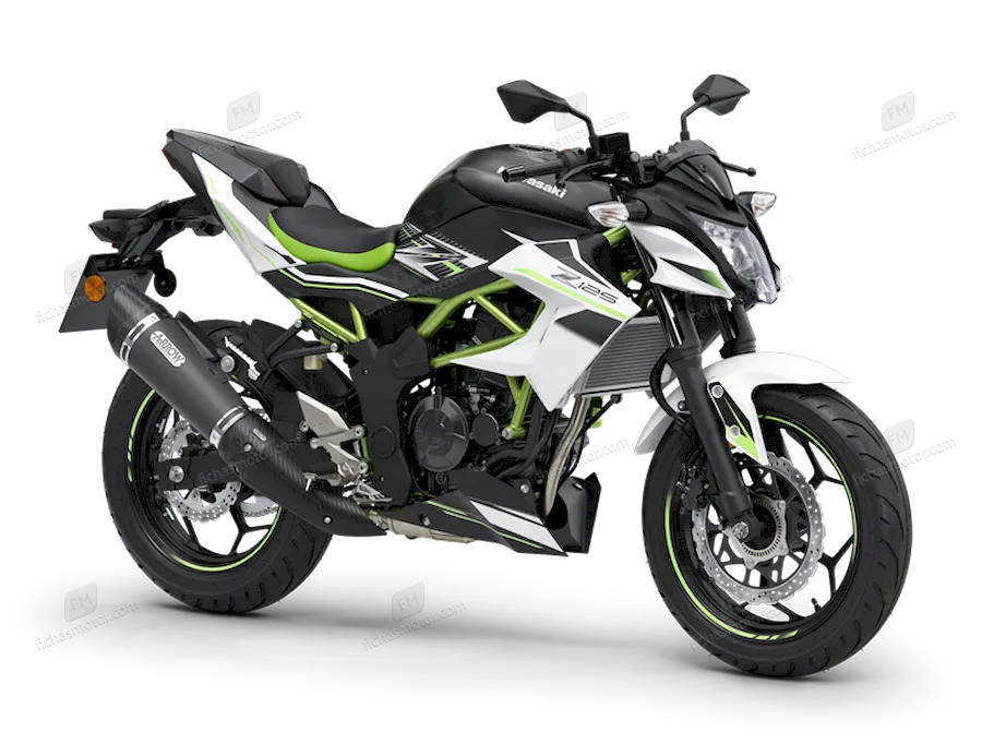 Afbeelding van de Kawasaki Z125 Performance-motorfiets van het jaar 2021