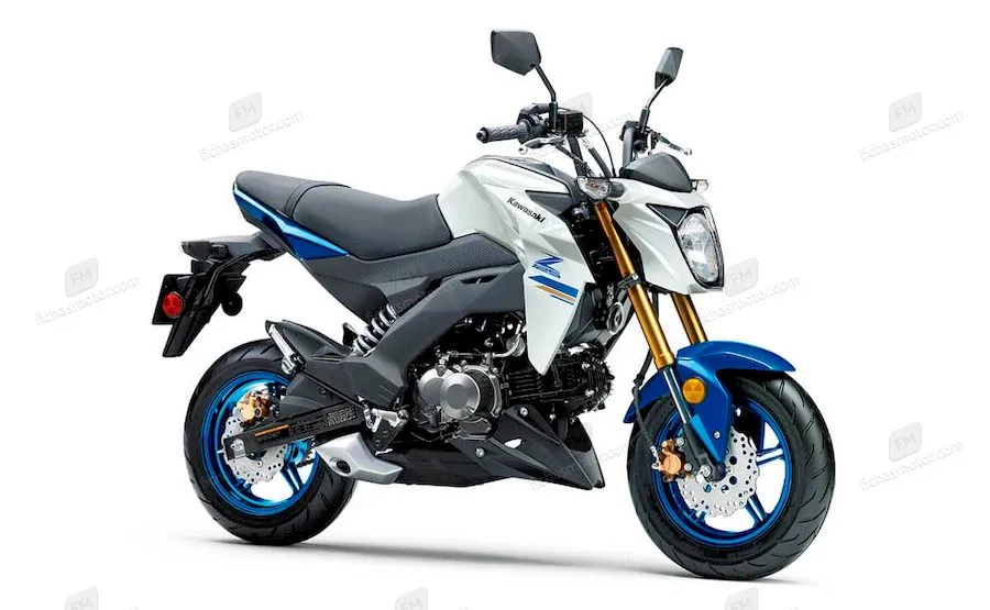 Image of the Kawasaki Z125 Pro motorcycle of the year 2022