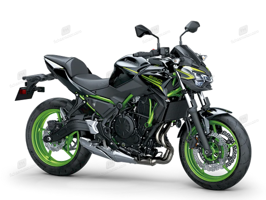 Bild des Kawasaki Z650-Motorrads des Jahres 2021