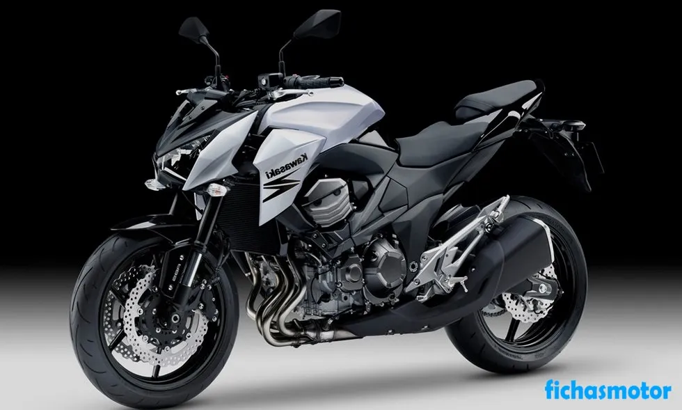 Bild des Kawasaki z800 e-Motorrads des Jahres 2013