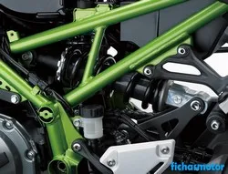 Immagine della moto Kawasaki Z900 ABS 2019