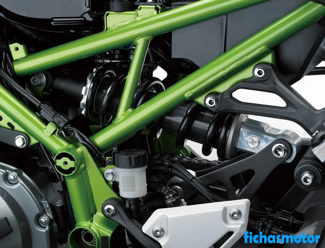 Bild des Kawasaki Z900 ABS-Motorrads des Jahres 2019