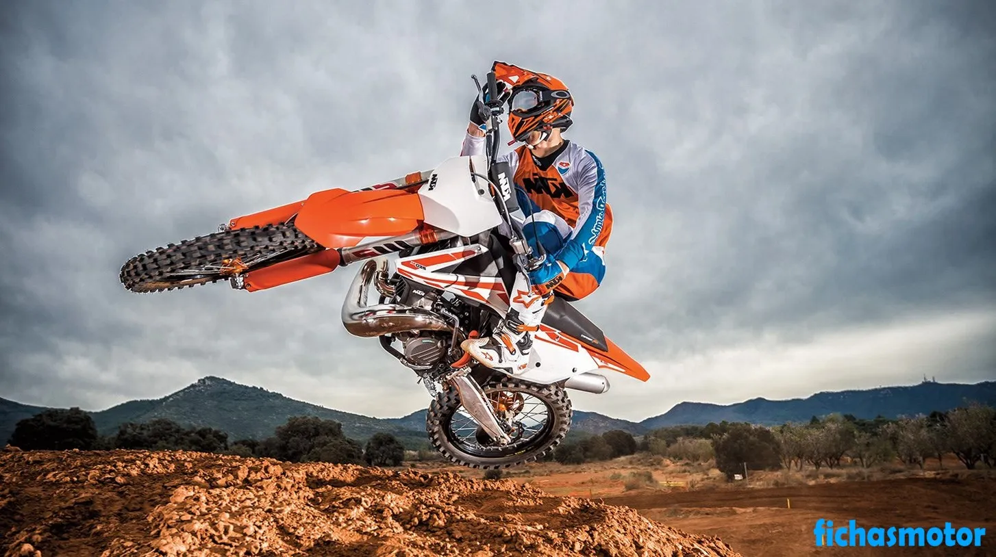 Image of the KTM 250 SX motorcycle of the year 2019