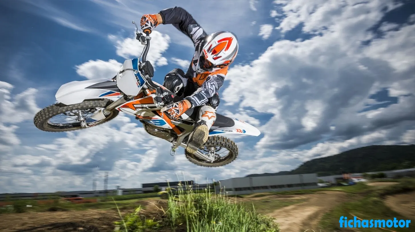 Bild des Ktm freeride e-sx-Motorrads des Jahres 2017