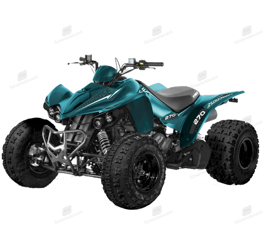 Изображение мотоцикла Kymco Mongoose 270 Euro 2021 года выпуска