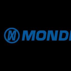 Logo de la marca Mondial