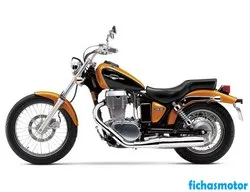 Image of the Suzuki boulevard s40 2013 motorcycle