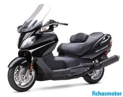 Image of the Suzuki burgman 650 2009 motorcycle