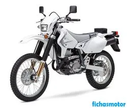 Billede af Suzuki dr-z400s 2009 motorcyklen