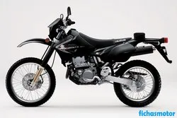 Bild des Motorrads Suzuki dr-z400s 2010